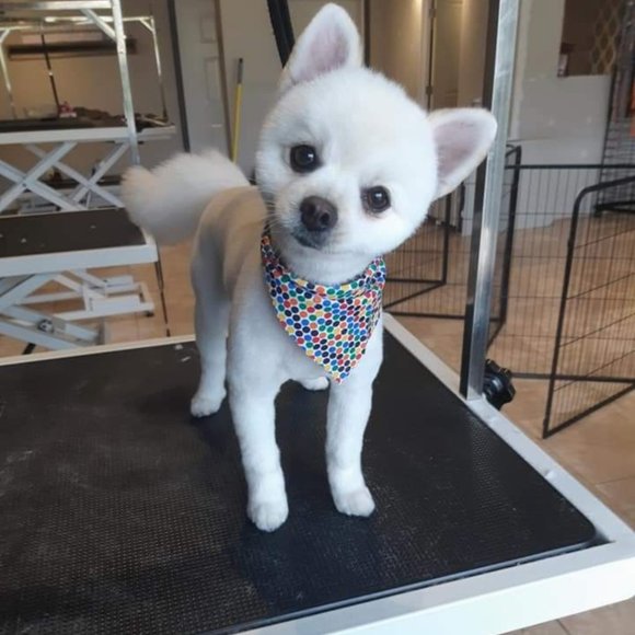 Meet your Posher, Karleen - Picture 1 of 1